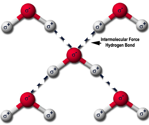 Understanding Intermolecular Forces: Hydrogen Bonding,, 56% Off