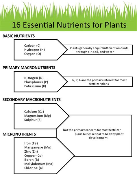 Understanding Your Lawn And Garden Soil Test Oklahoma State University