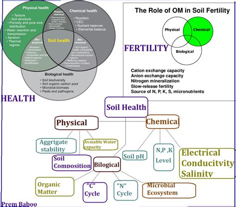 What Is The Difference Between Soil Health And Soil Fertility Are They