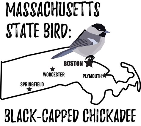 What Is The Symbolic Meaning Of The Massachusetts State Bird Emblem