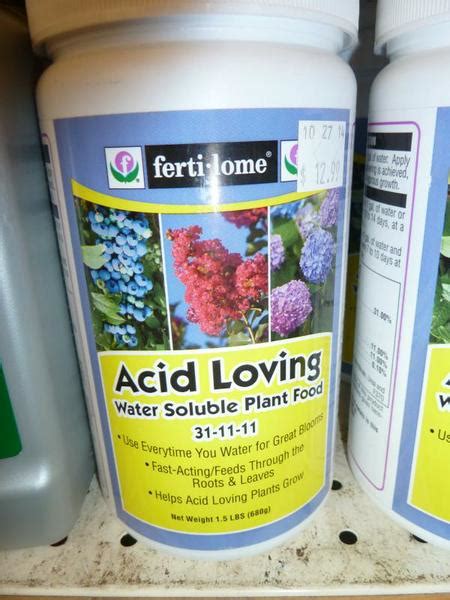 What Type Of Fertiliser Is Best For Shrubs In Acidic Soil Conditions?