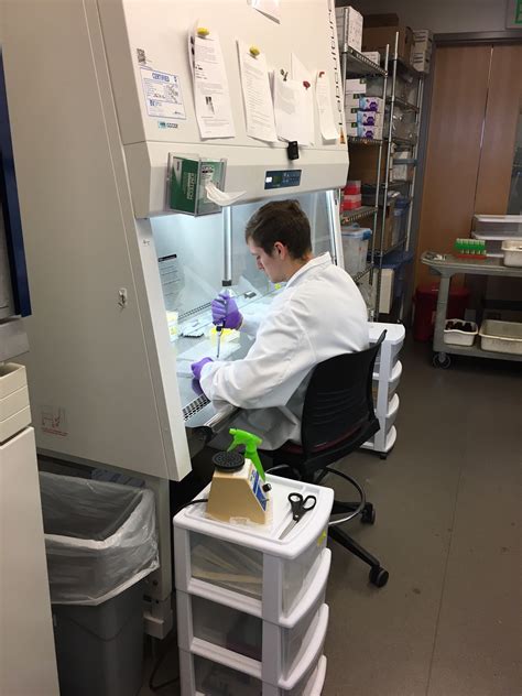 What Umass Amherst Biology Labs Offer Research Experience For Undergraduates Freely?