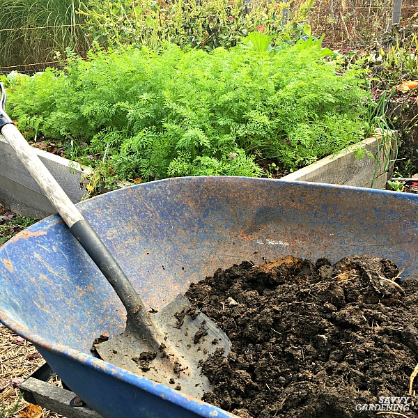 What You Need To Know About Soil Amendments Phx Gardening