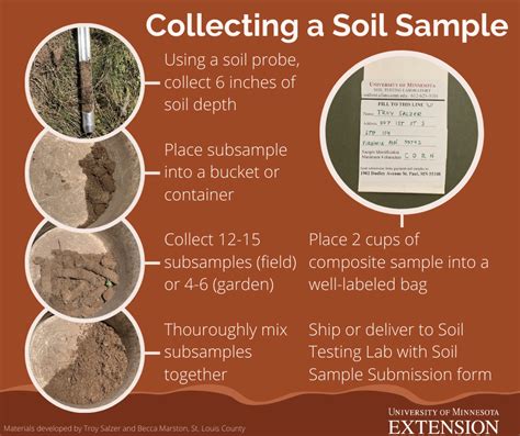 When Is The Best Time For Umass Soil Testing For Lawn Care 2025