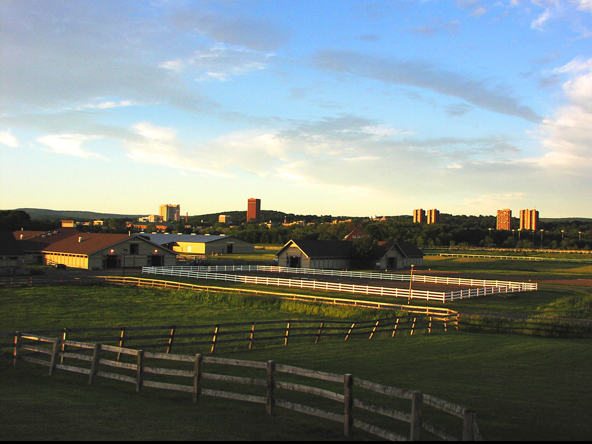 Where Can I Access Umass Amherst Continuing Education Student Resources And Support?