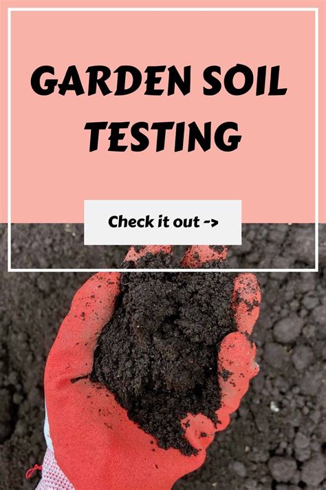 Where Can I Get Accurate Umass Soil Testing For My Garden In 2025?