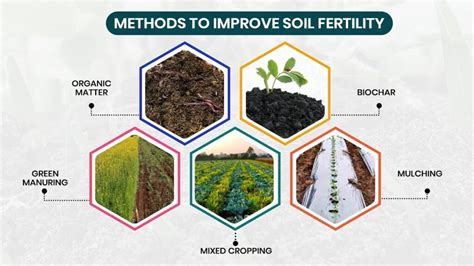 Why Do Farmers Prefer Umass Soil Testing For Fertilizer Application Guidance?