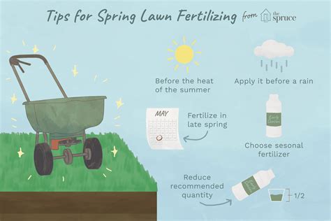 Why Is It Important To Fertilize Shrubbery In Early Spring 2025?