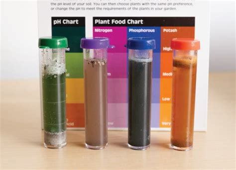 Why Is Soil Testing Important And How Can The Umass Lab Help?